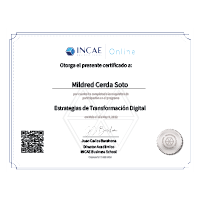 Estrategias de Transformacion Digital INCAE Business School